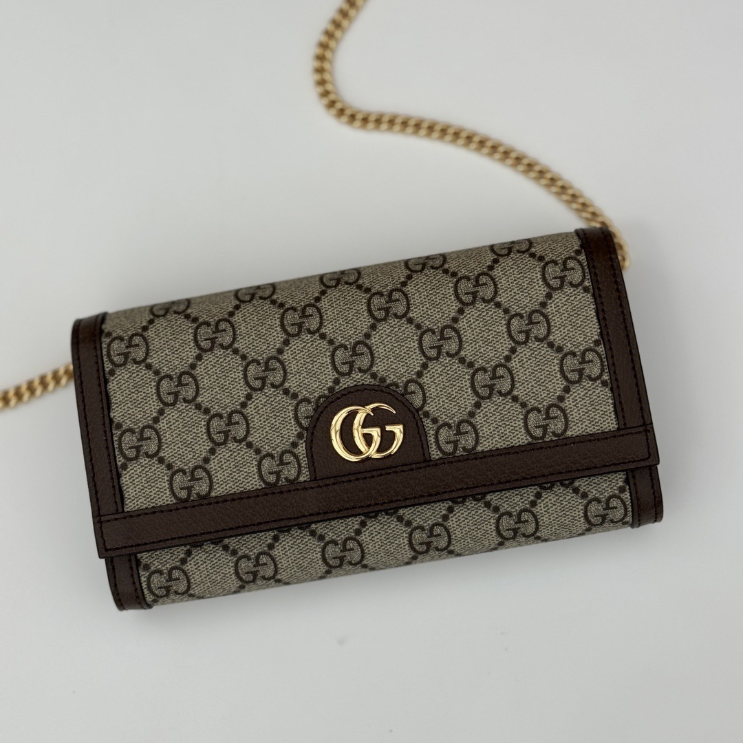 GUCCI GG Ophidia bag