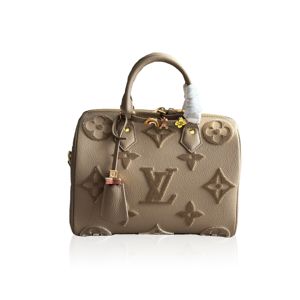 Louis Vuitton speedy pillow bag