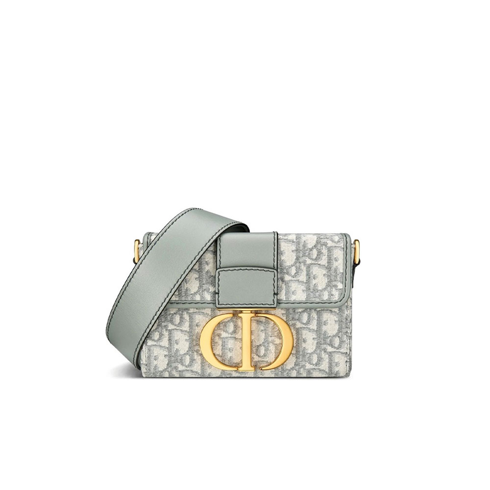 DIOR Oblique 30 Montaigne Flap Bag