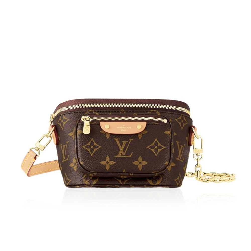 Louis Vuitton LV Bumbag Bag M82335