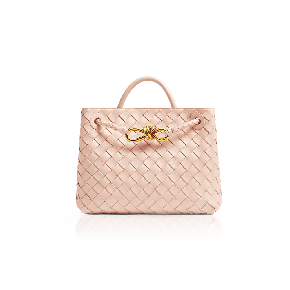 Bottega Veneta Small Andiamo Bag