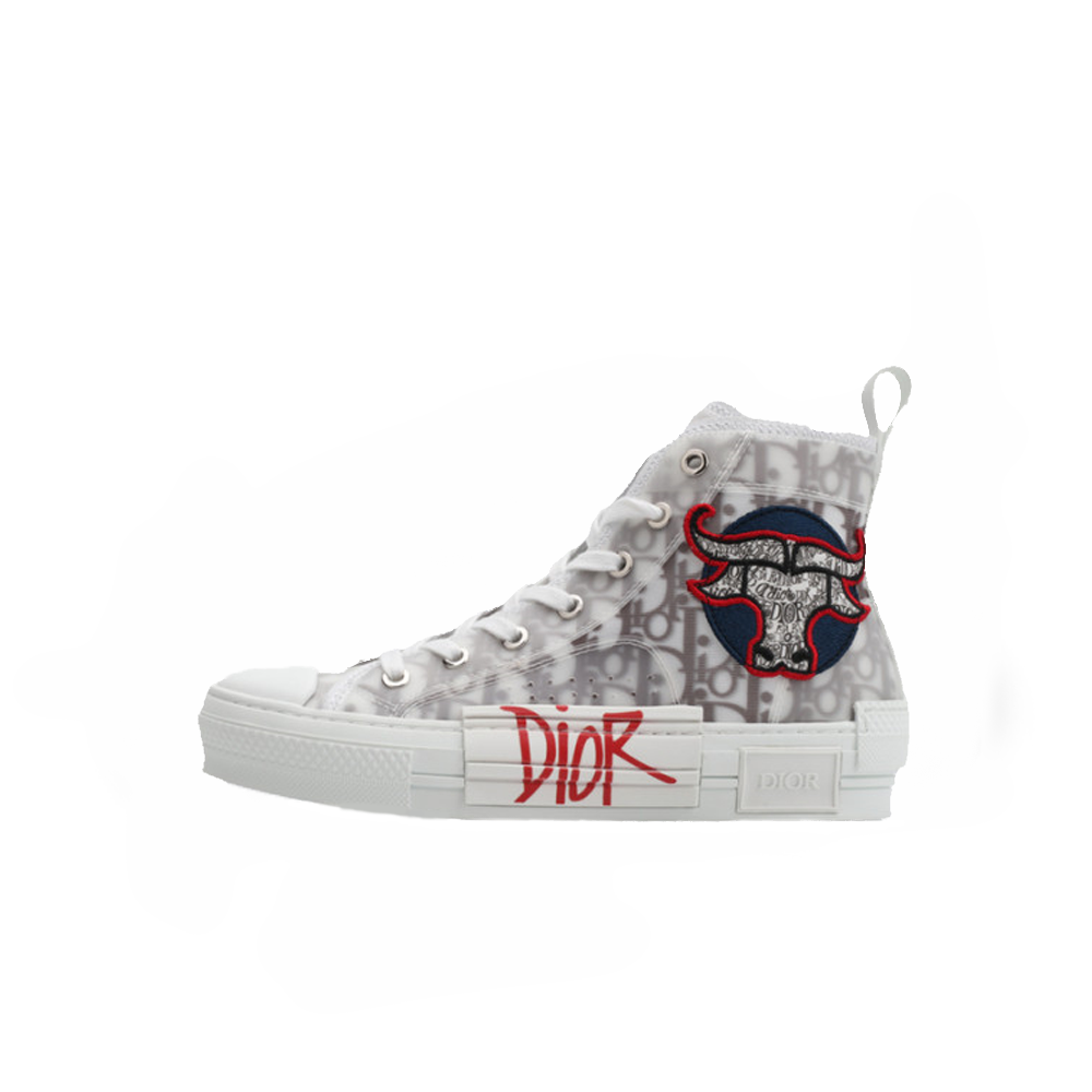 Dior B23 Oblique High Top