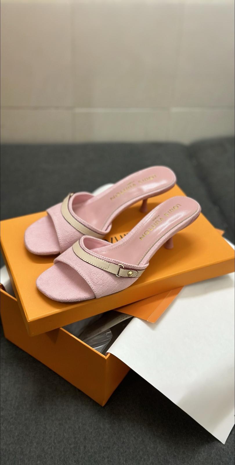 Louis Vuitton LV spring Shoes