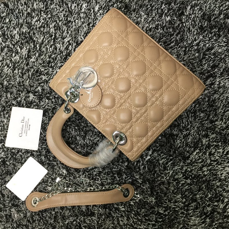 Dior The LADY D-LITE Bag  AAA Quality