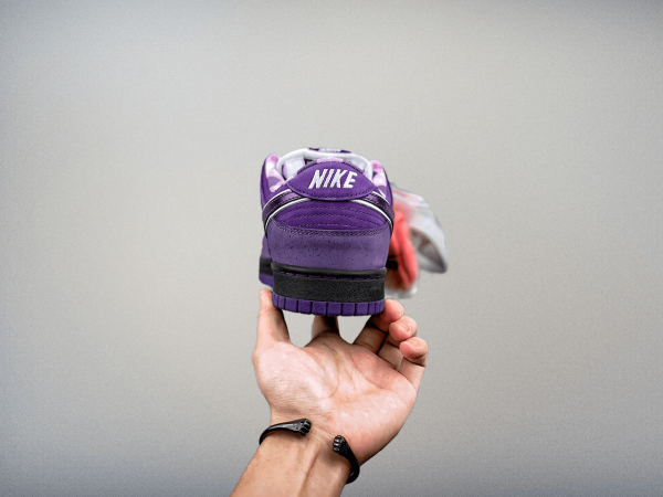 Dunk SB Low Pro “Purple Lobster”