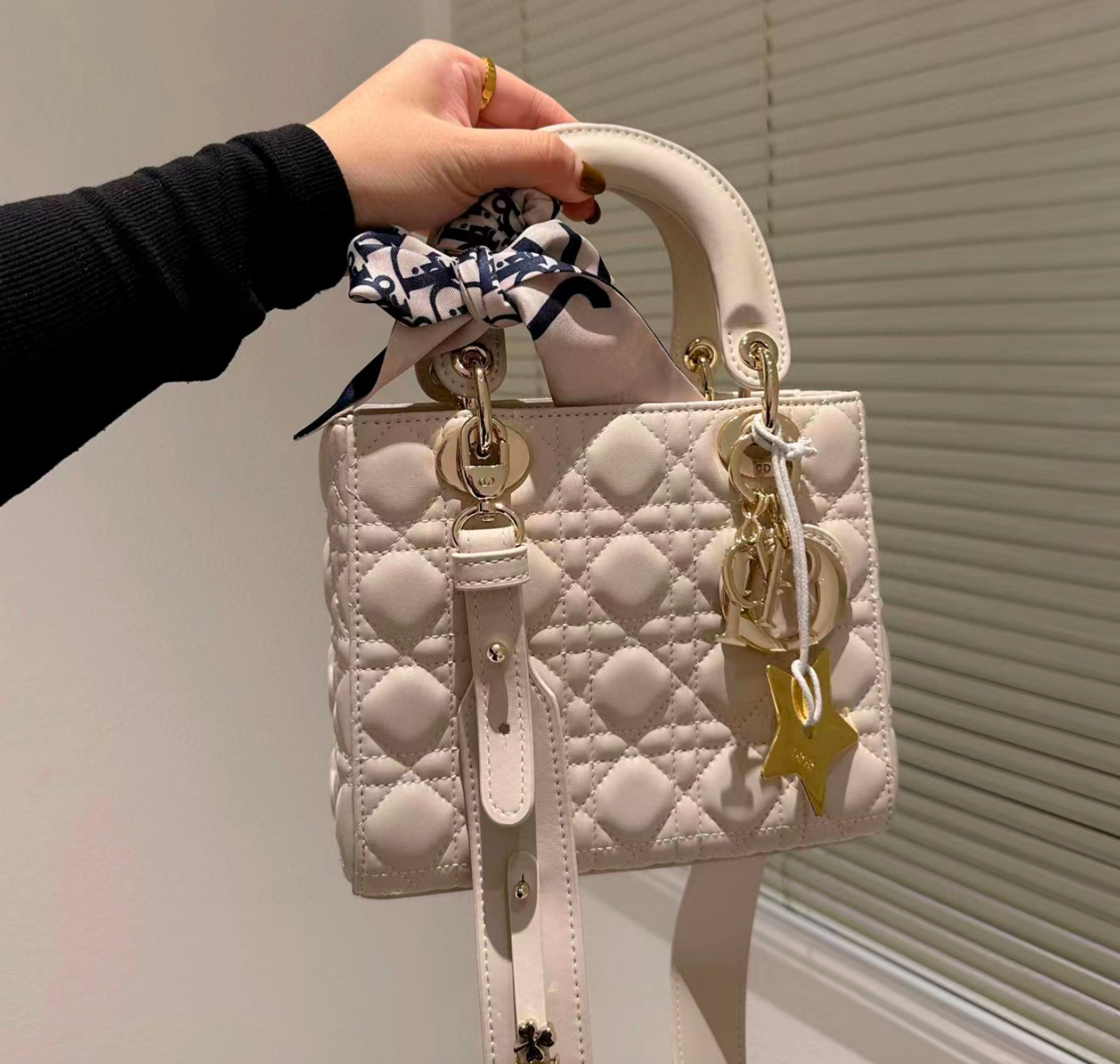 DIOR Small Lady  Bag-Lambskin