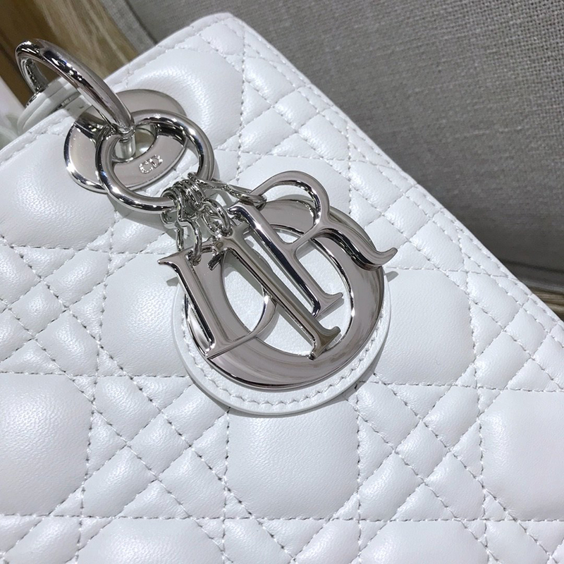 Dior The LADY D-LITE Bag  AAA Quality