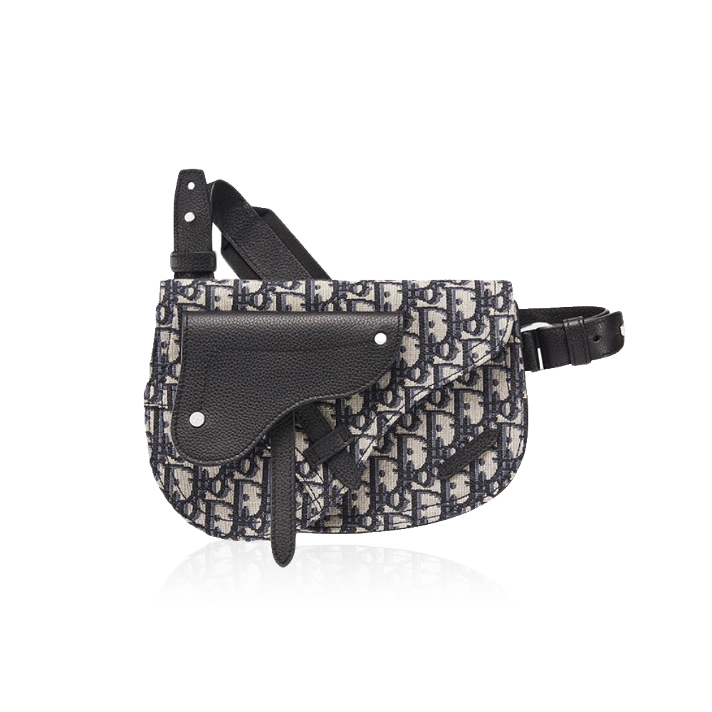 DIOR Saddle Embroidery Crossbody Bag