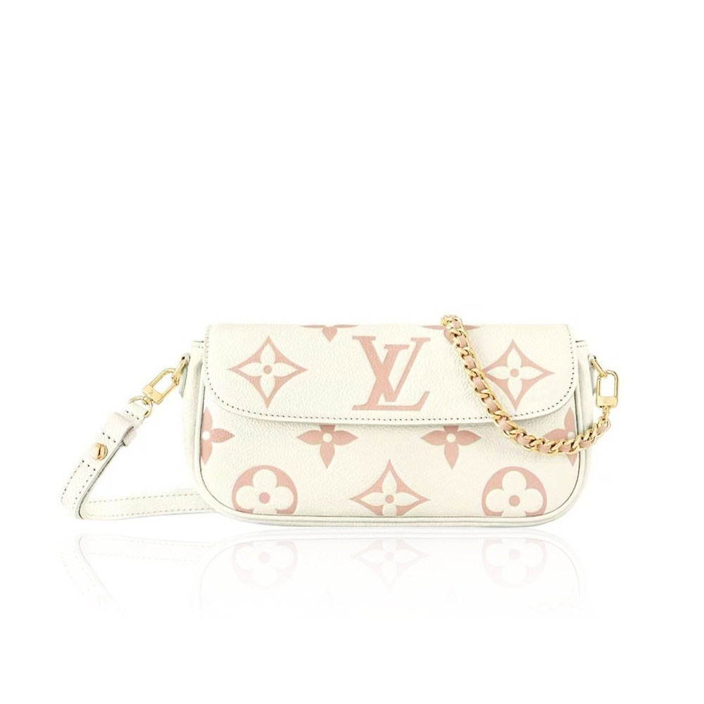 Louis Vuitton LV Monogram Bag