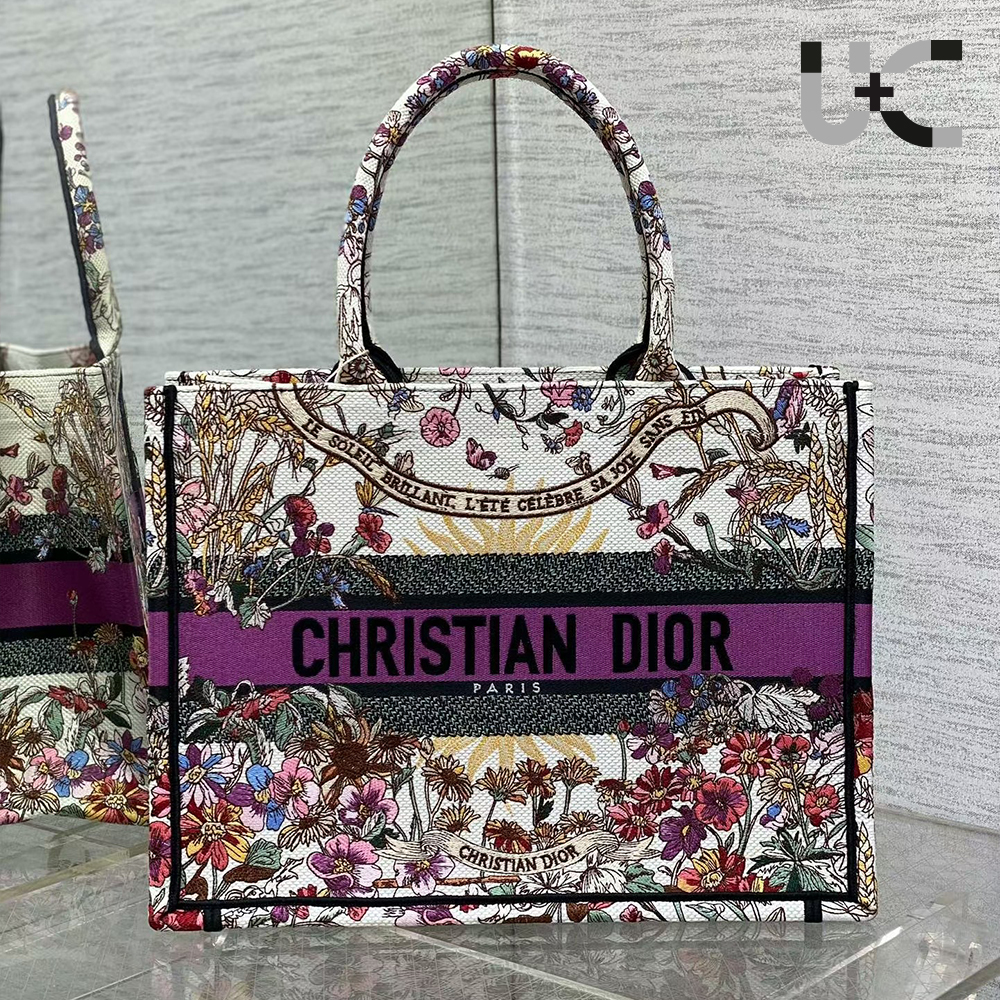 Dior Book Tote Bag