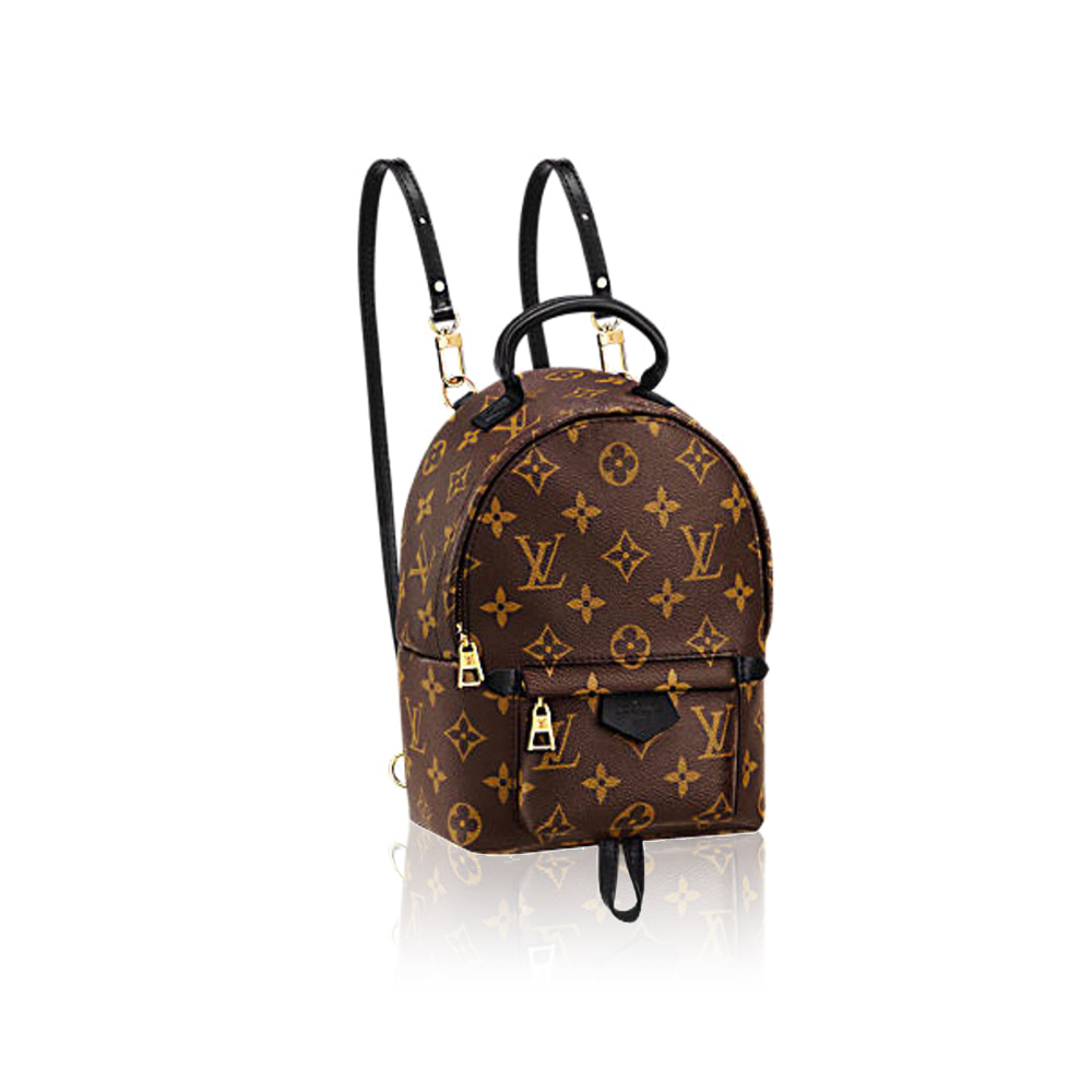 Louis Vuitton LV Palm Springs Backpack Mini&Small&Medium Bag