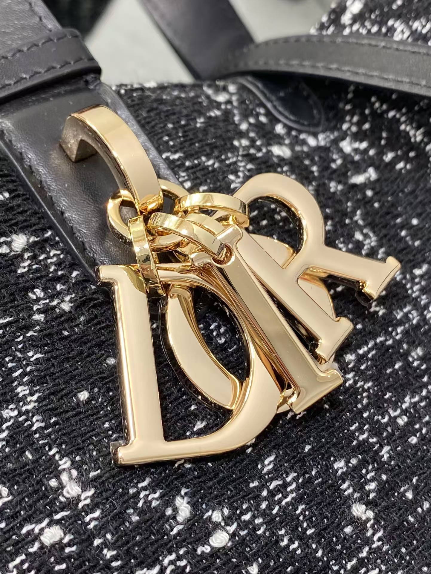 Dior Medium Toujours Bag
