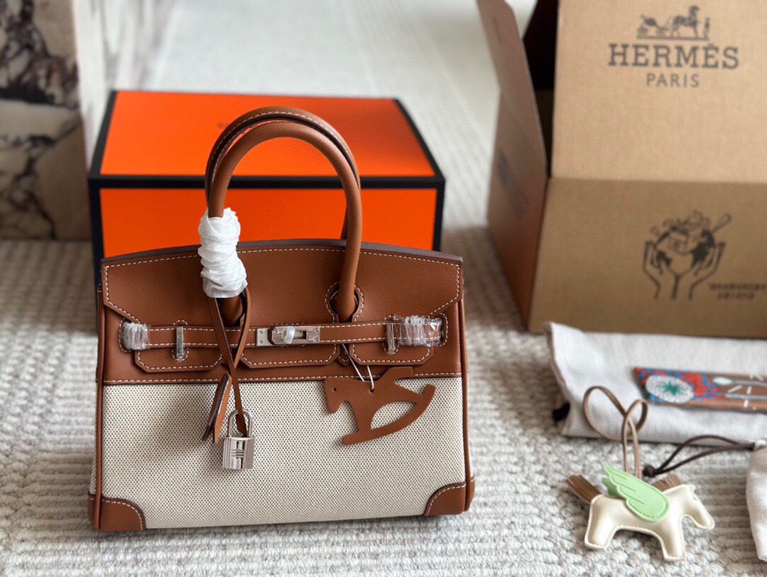 Hermes Birkin 25 canvas and leather handbag