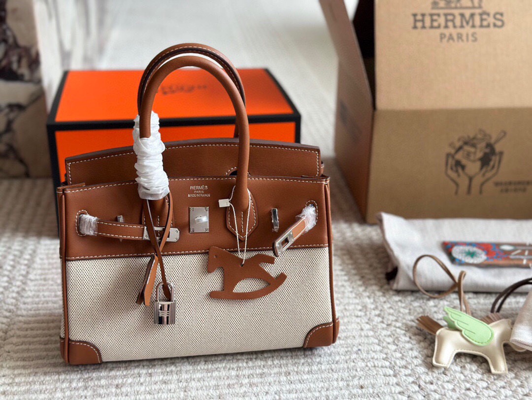 Hermes Birkin 25 canvas and leather handbag
