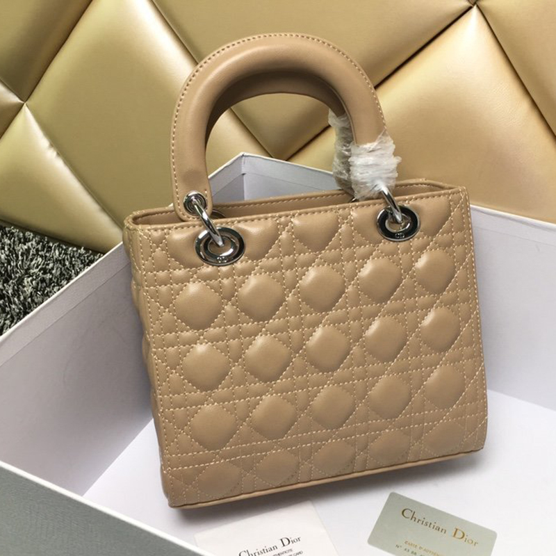 Dior The LADY D-LITE Bag  AAA Quality