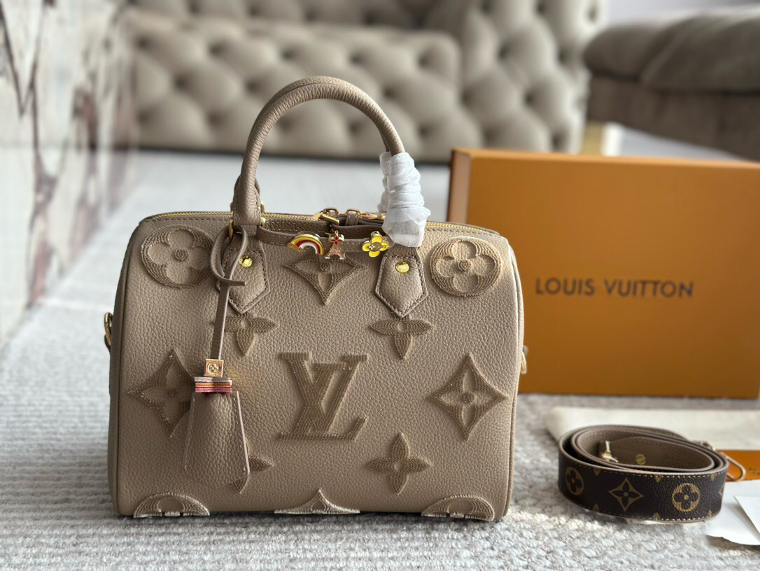 Louis Vuitton speedy pillow bag