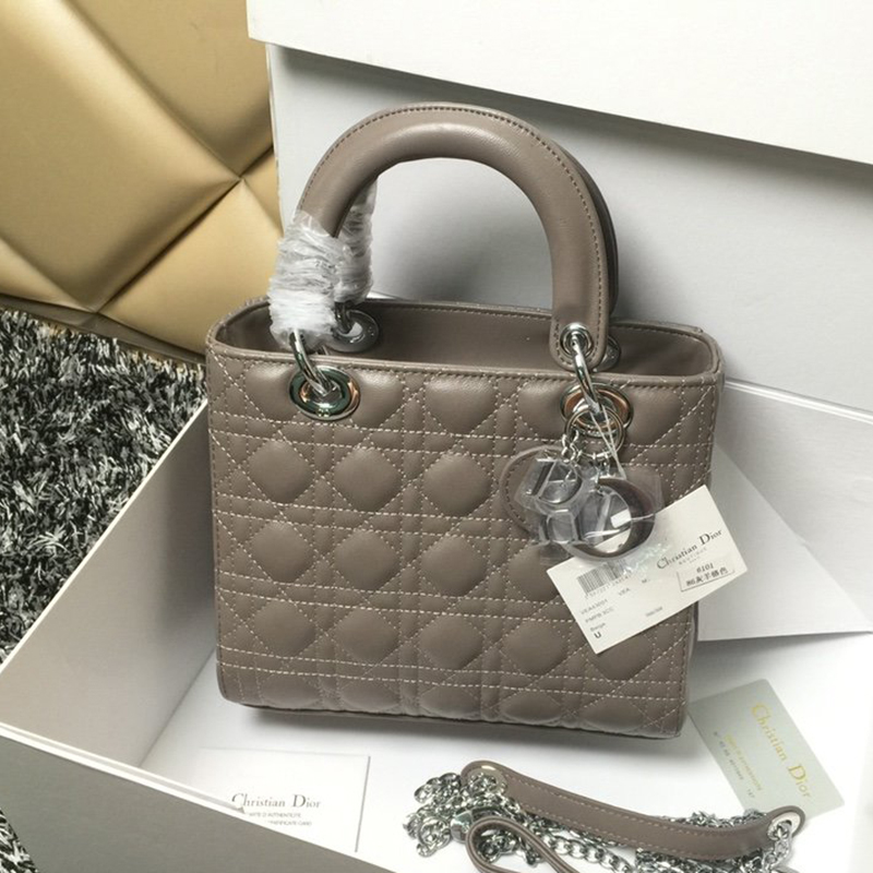 Dior The LADY D-LITE Bag  AAA Quality