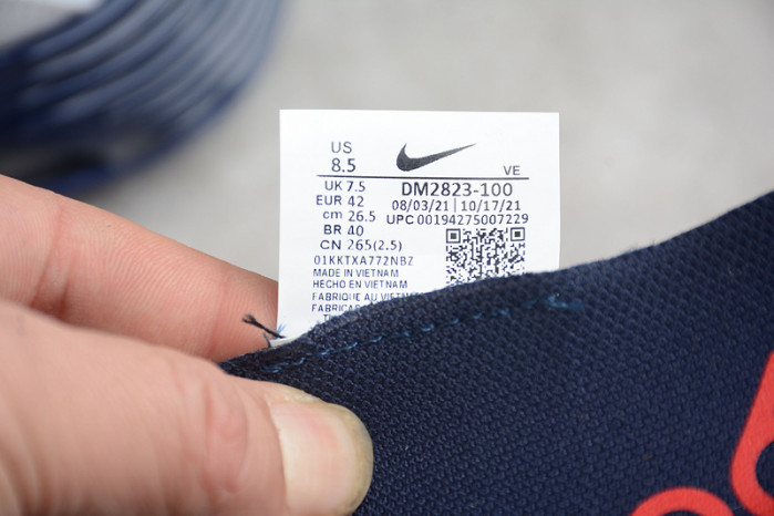 Nike Air Max 2090 DM2823-100