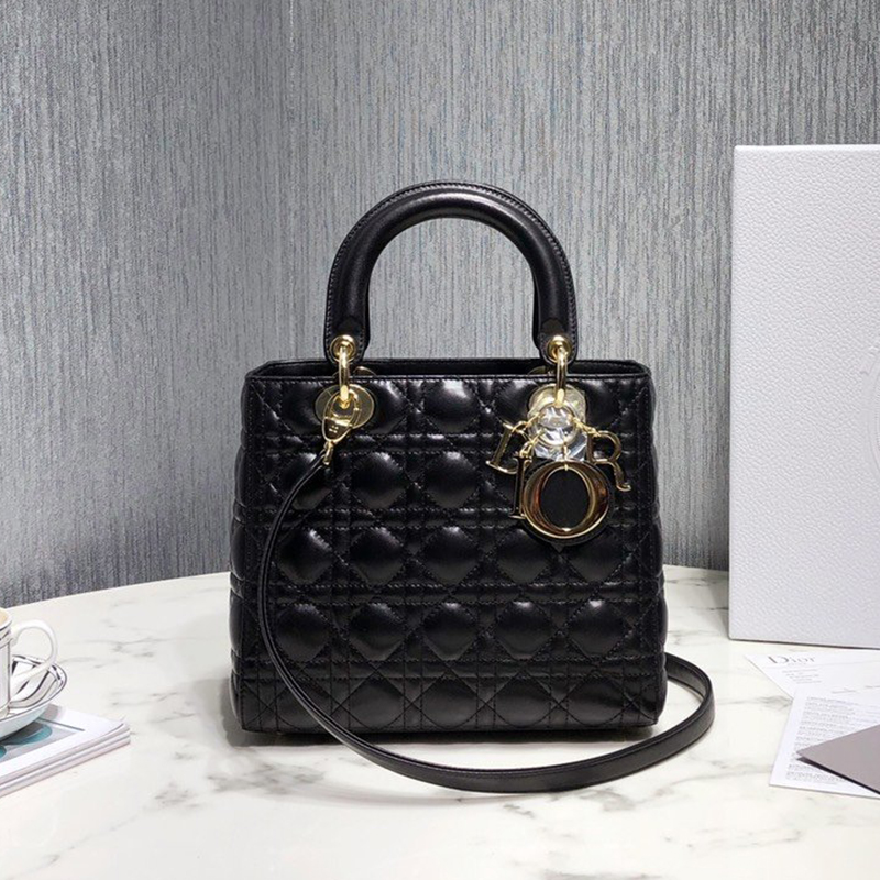 Dior The LADY D-LITE Bag  AAA Quality