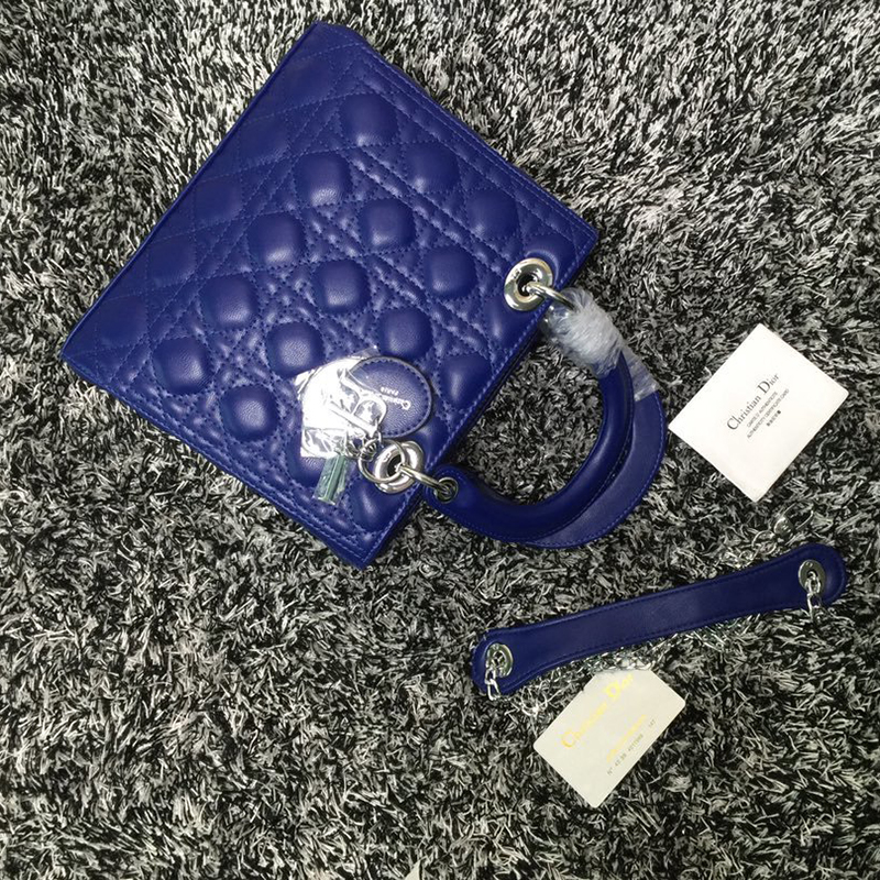 Dior The LADY D-LITE Bag  AAA Quality