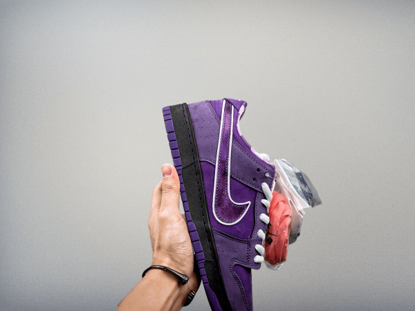 Dunk SB Low Pro “Purple Lobster”