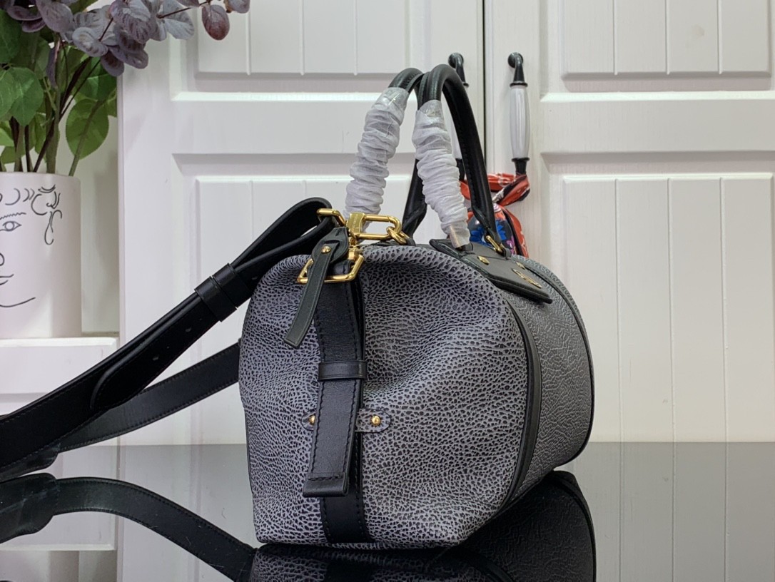 Louis Vuitton LV biker medium handbag