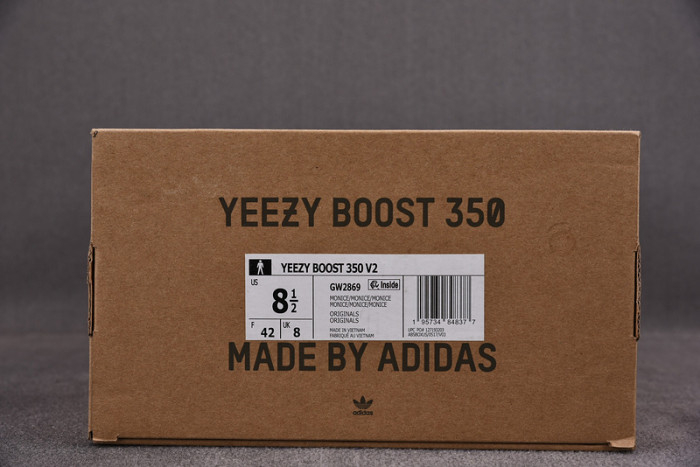 Yeezy Boost 350 V2 Mono Ice GW2869