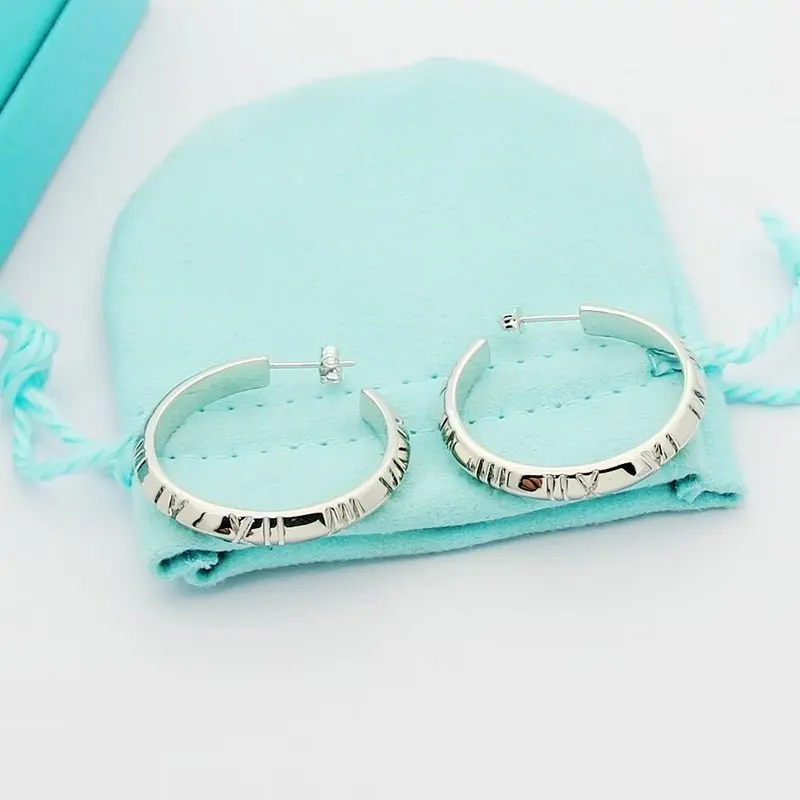 Tiffany Jewelry Earrings Accessories