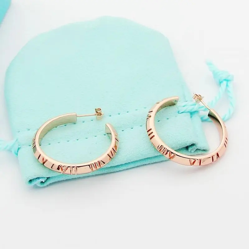 Tiffany Jewelry Earrings Accessories