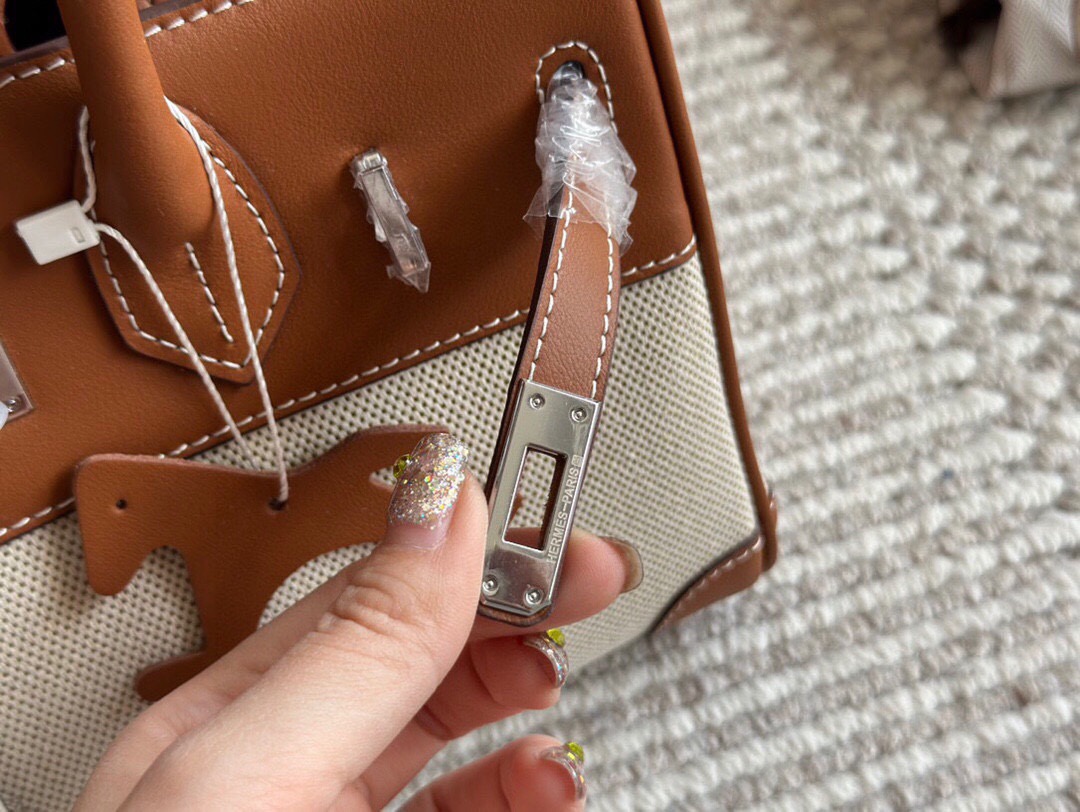 Hermes Birkin 25 canvas and leather handbag