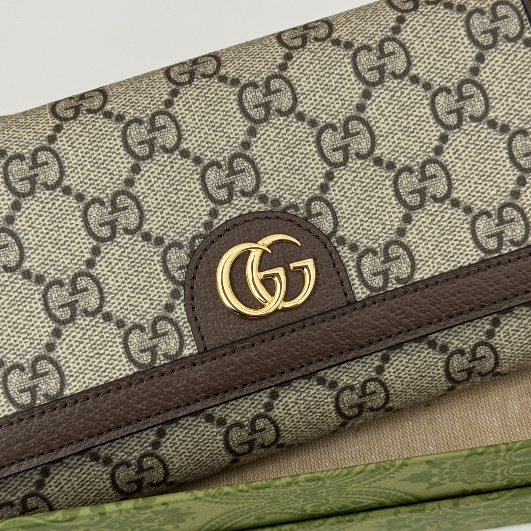 GUCCI GG Ophidia bag