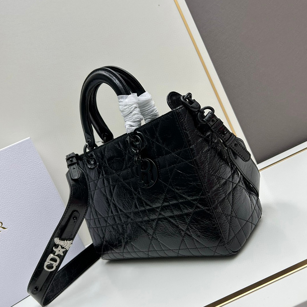 Dior Lady D-Sire bags