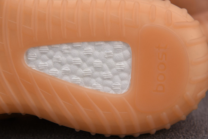 Yeezy Boost 350 V2 Mono Clay GW2870