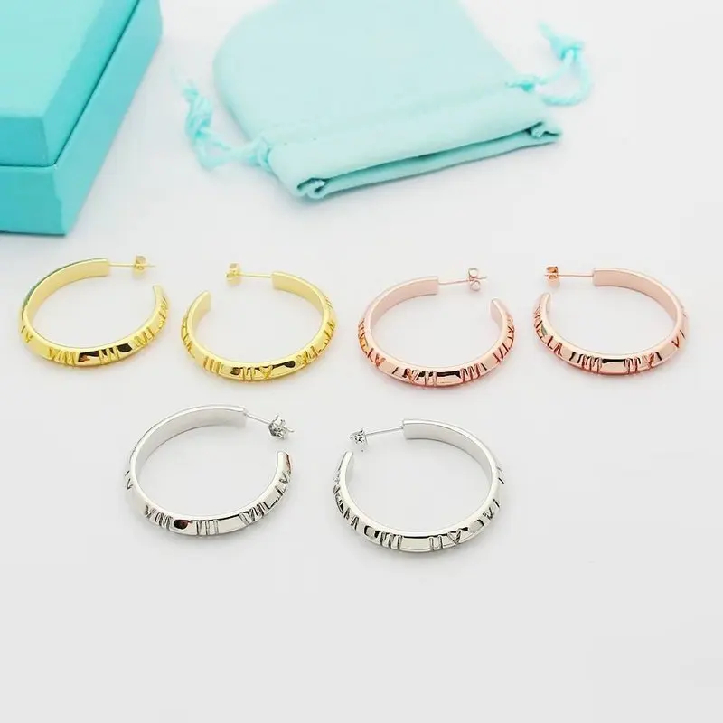 Tiffany Jewelry Earrings Accessories