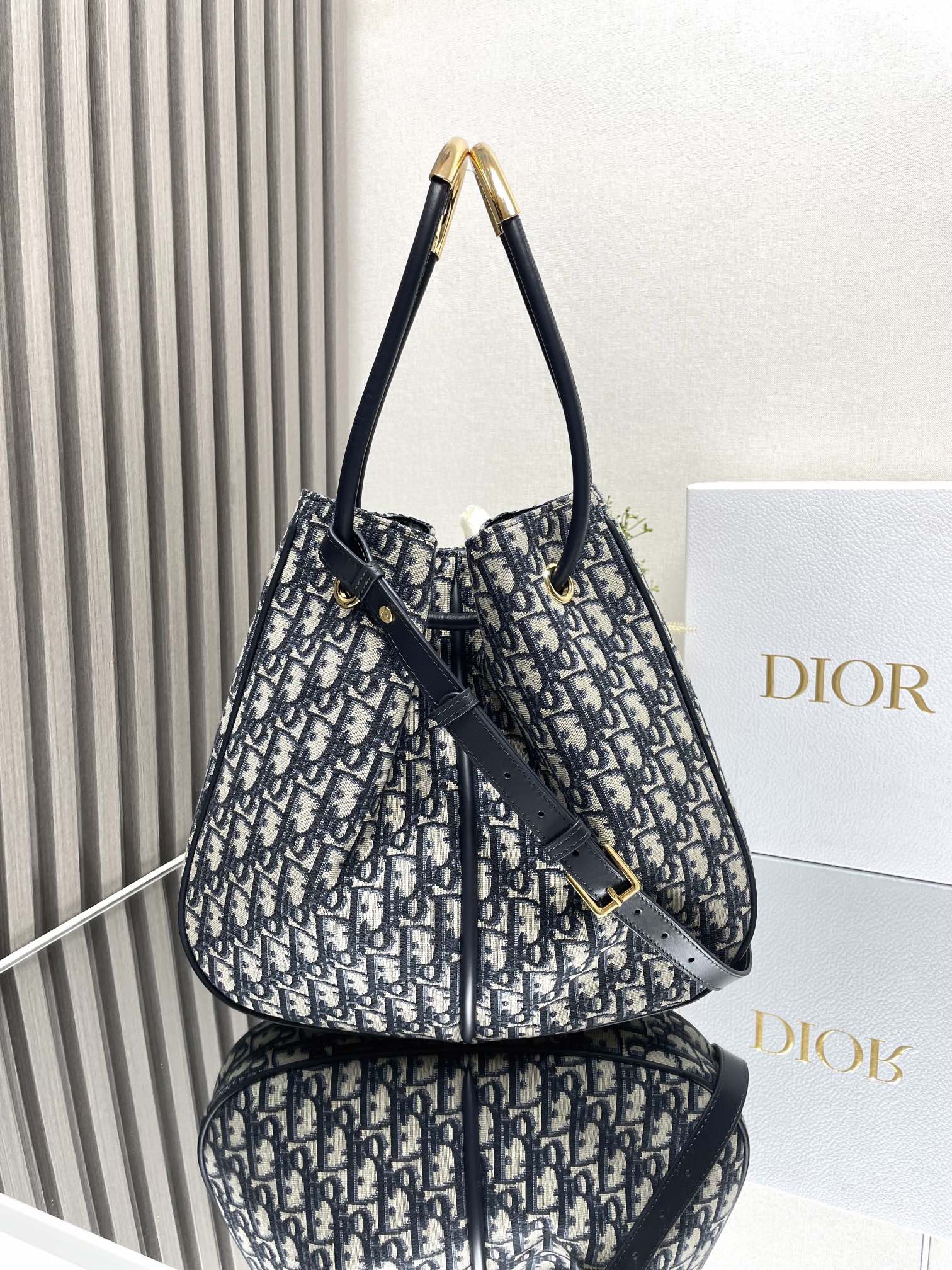 Dior Medium Nolita Bag