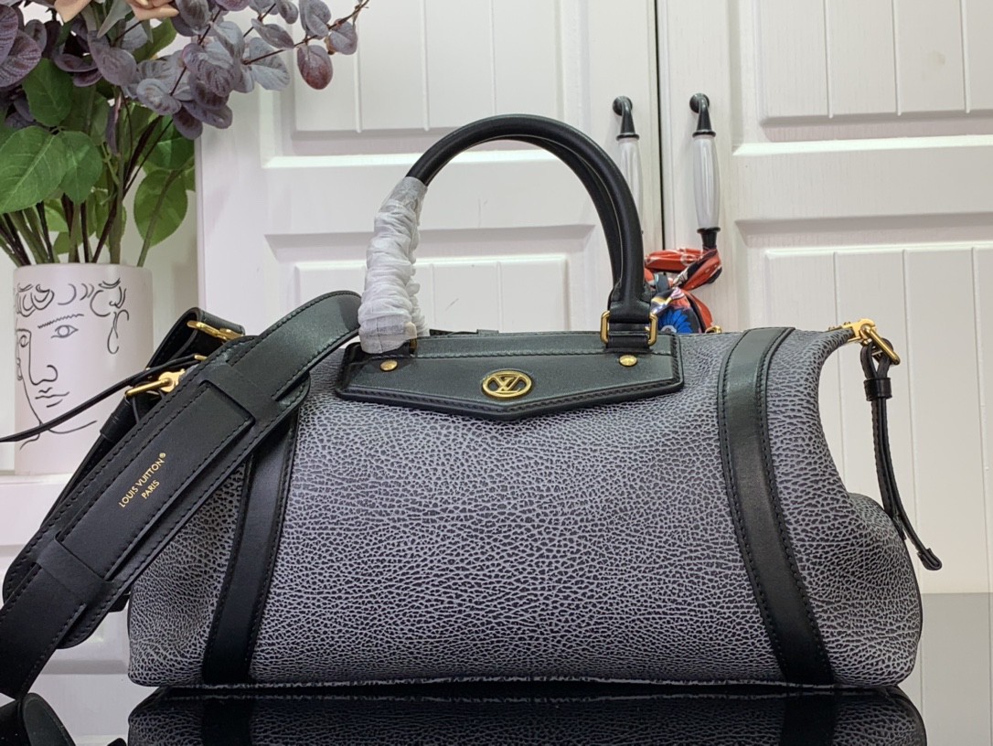 Louis Vuitton LV biker medium handbag