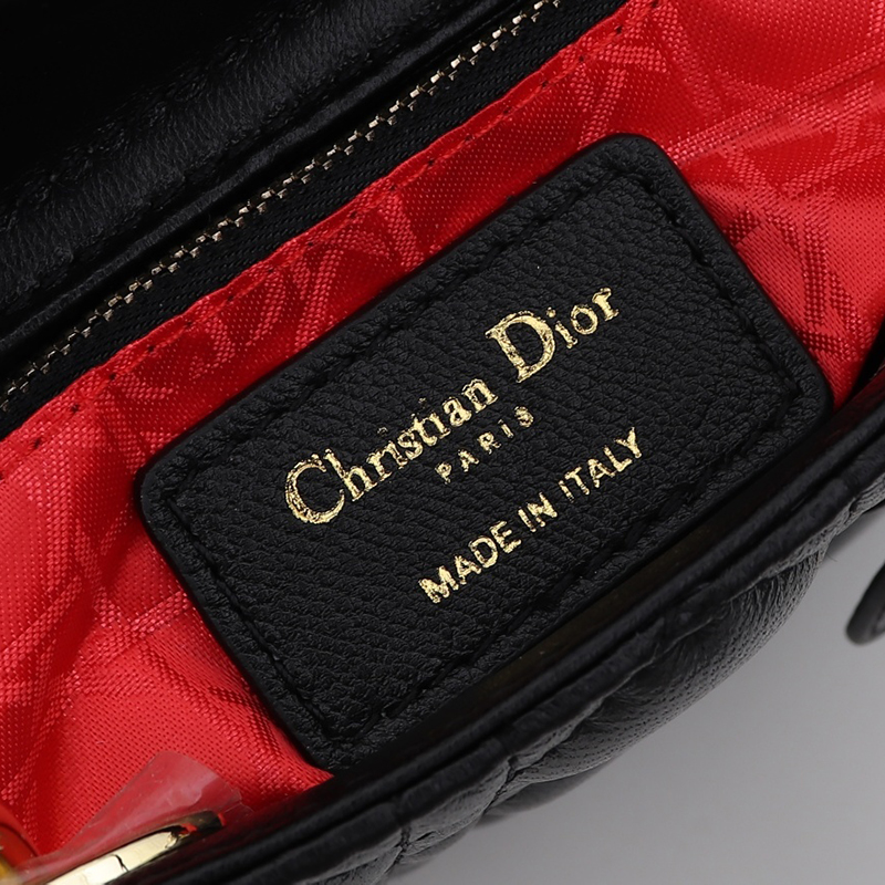 Dior The LADY D-LITE Bag AAA Quality