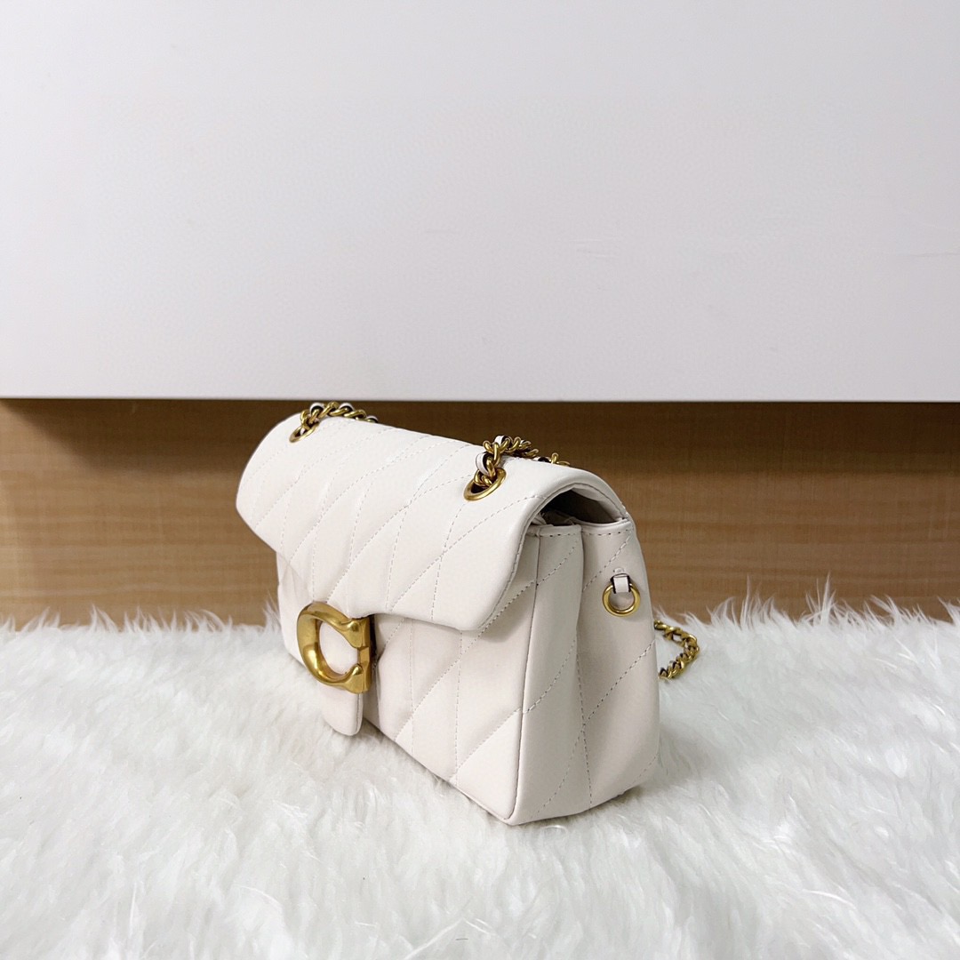 Coach New Chain Crossbody Bag