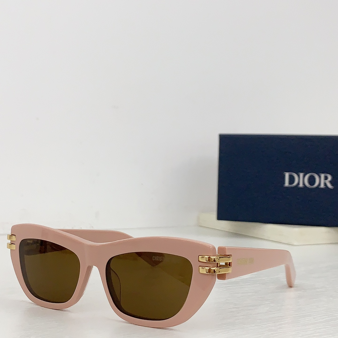 Dior Thick Acetate Sunglasses Top Quality