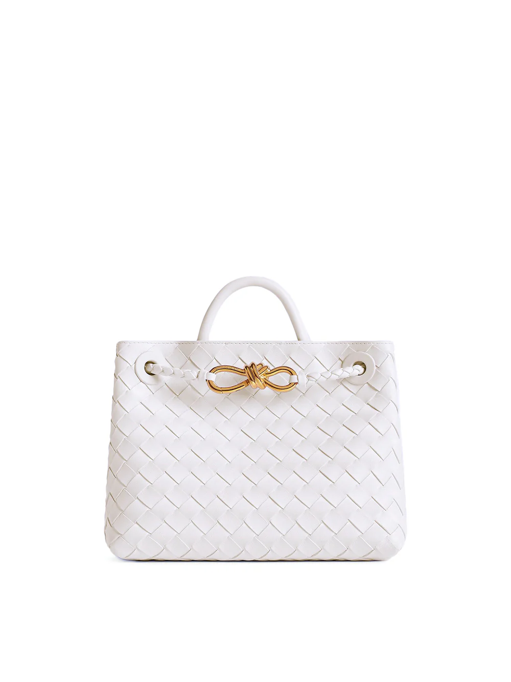 Bottega Veneta Small Andiamo Bag