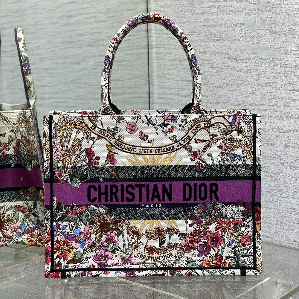 Dior Book Tote Bag