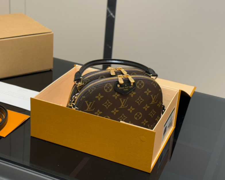 Louis Vuitton Versatile Classic Shell Bag