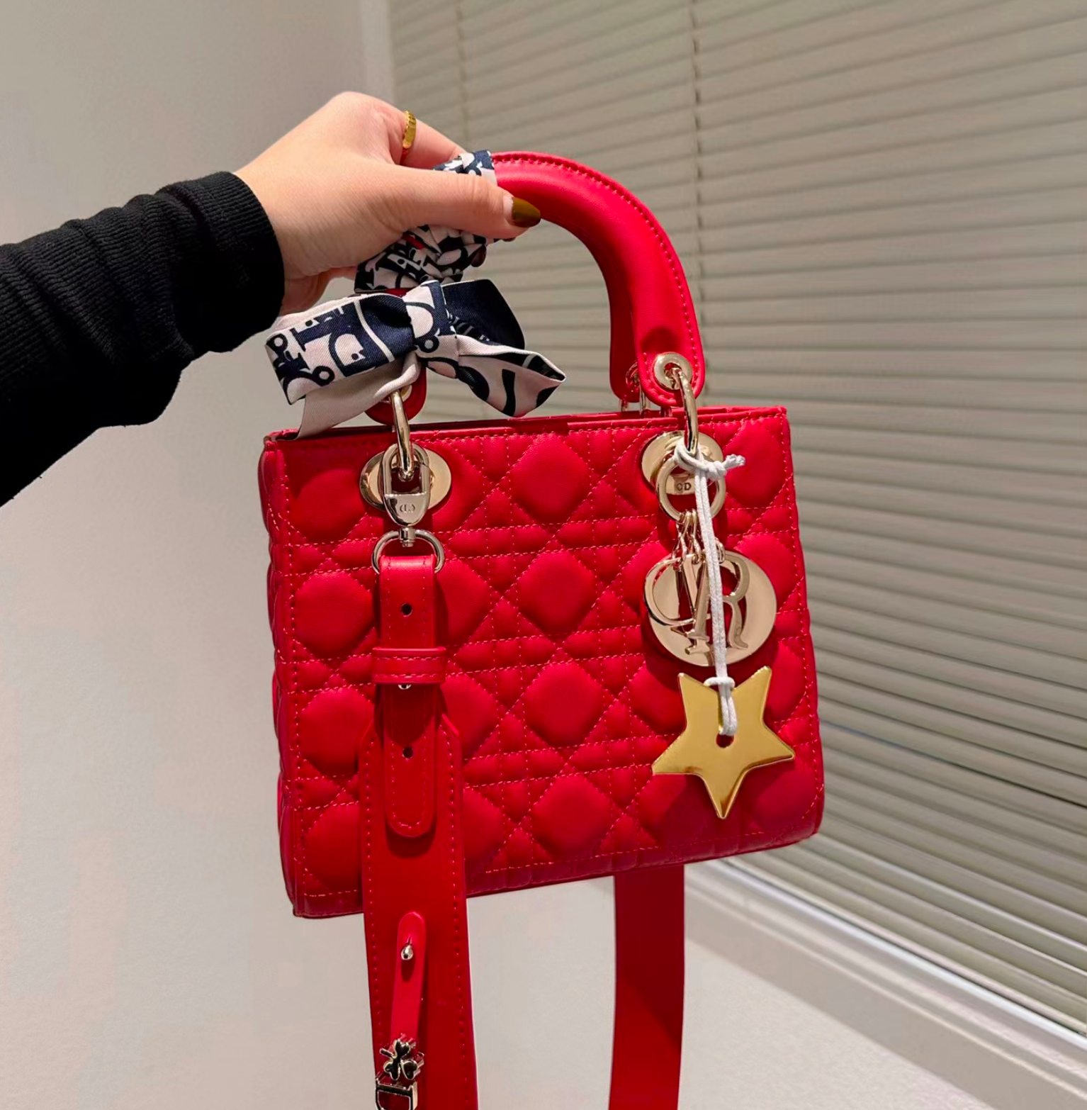 DIOR Small Lady  Bag-Lambskin