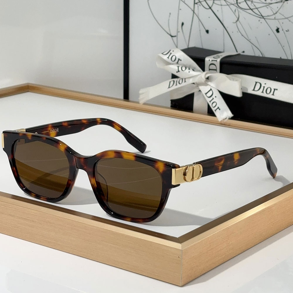 Dior Hinge Design Acetate Fibre sunglasses Top quality