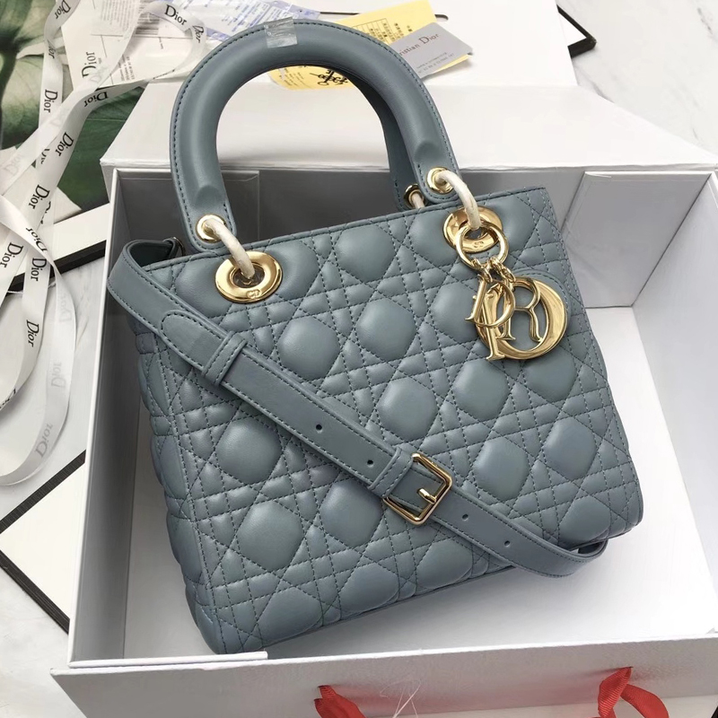 Dior The LADY D-LITE Bag  AAA Quality