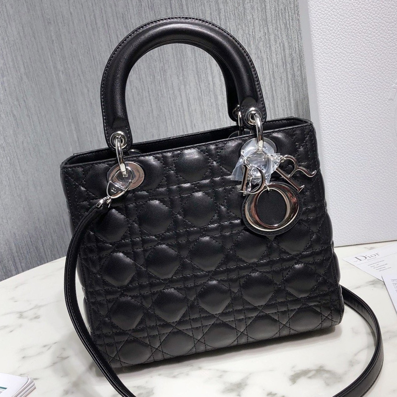 Dior The LADY D-LITE Bag  AAA Quality