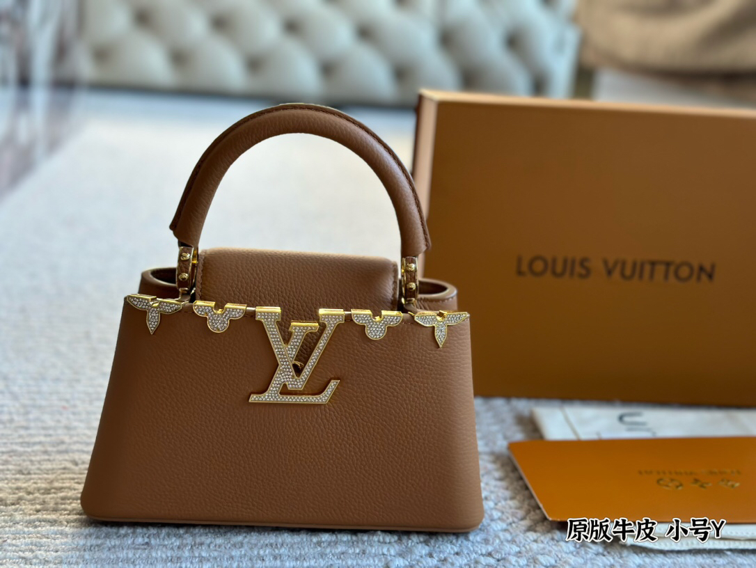 Louis Vuitton capucines handbag