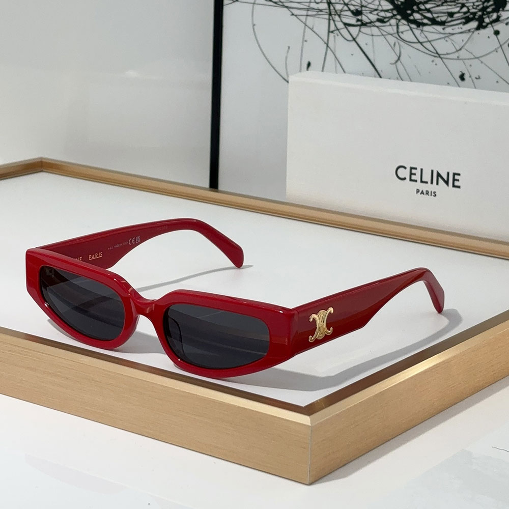 Celine Patterned Frame sunglasses Top quality