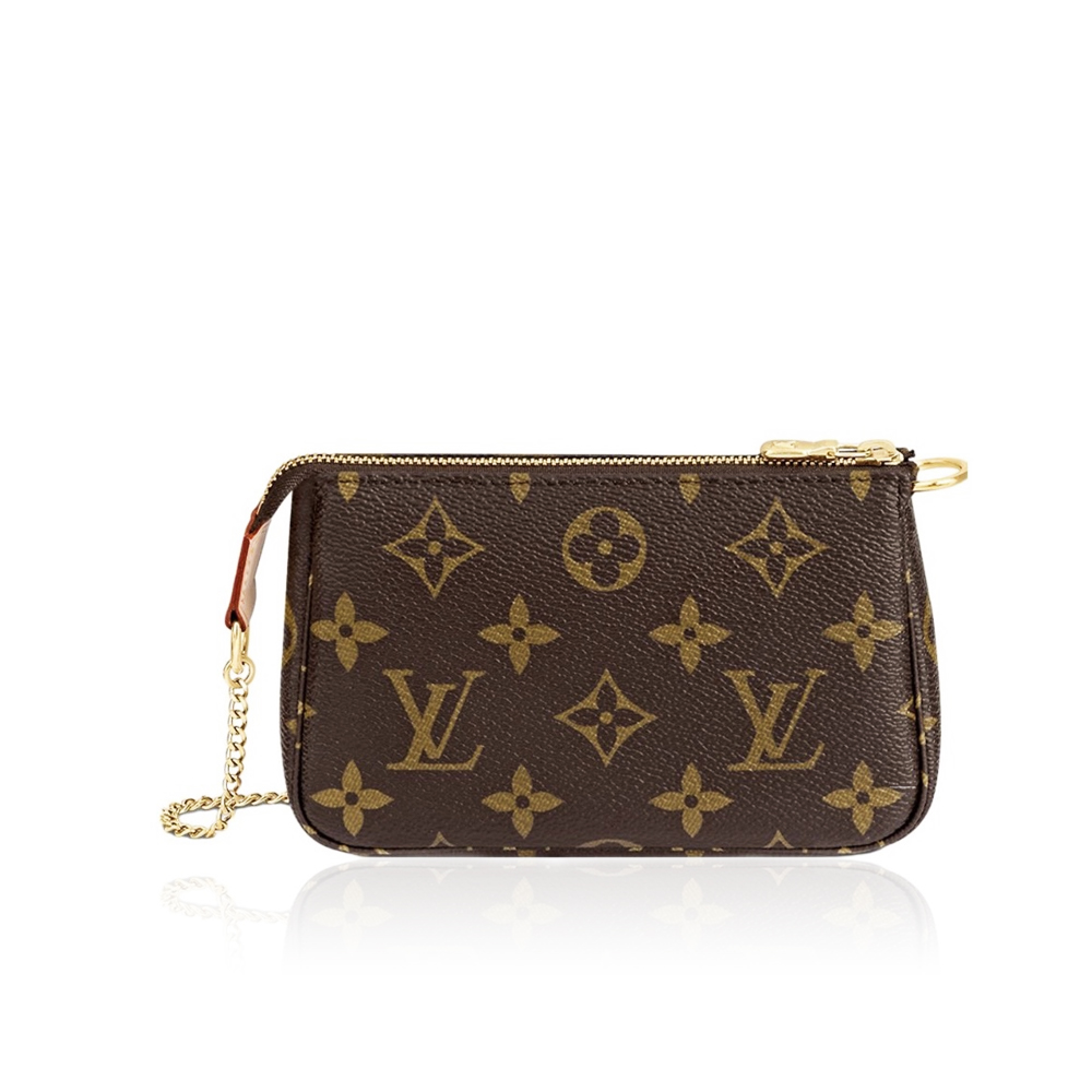 Louis Vuitton LV Easy Pouch Bag