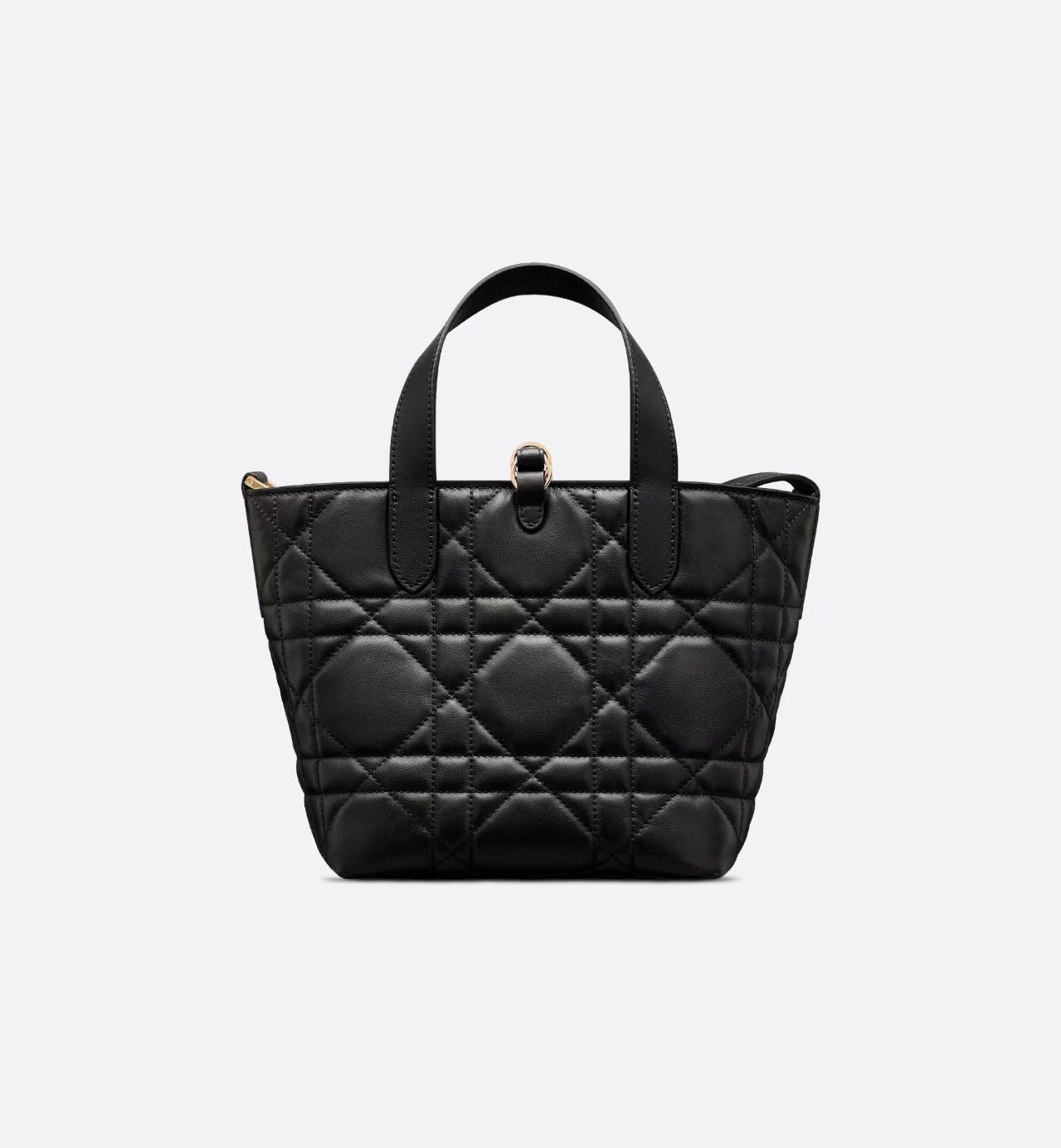 Dior Toujours Vertical Bag